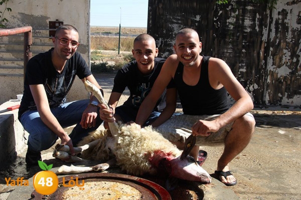 dabe7 ludj31 (42).JPG